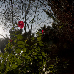 Similar image 8011529