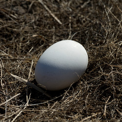 Similar image 8011532