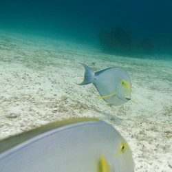 Similar image 8011537