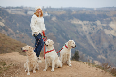 Similar image 8011707