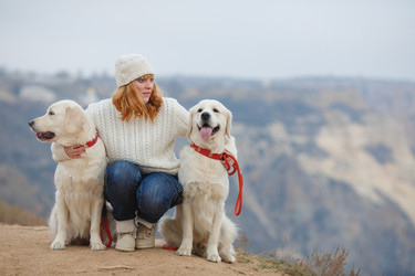 Similar image 8011709