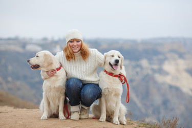 Similar image 8011732