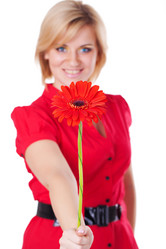 Similar image 8011757