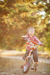 Similar image 8011829