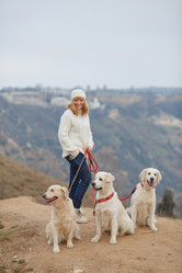 Similar image 8011869