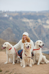 Similar image 8011890