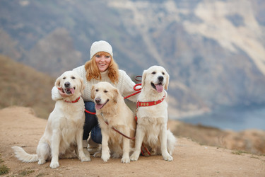 Similar image 8011895