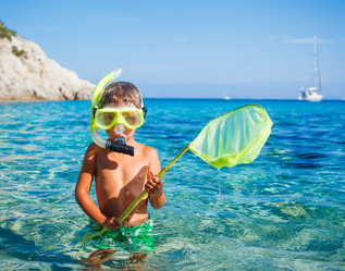 Similar image 8012087