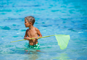 Similar image 8012126