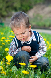 Similar image 8012299