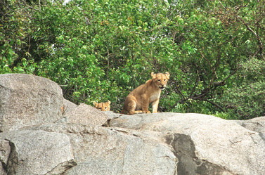 Similar image 8012378