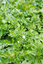 Similar image 8012458