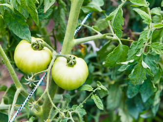 Similar image 8012461