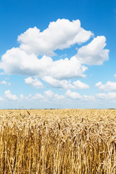 Similar image 8012463