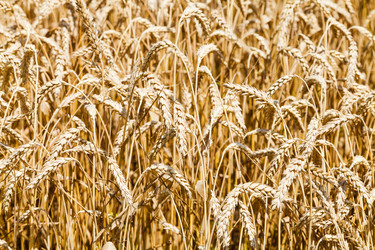 Similar image 8012496