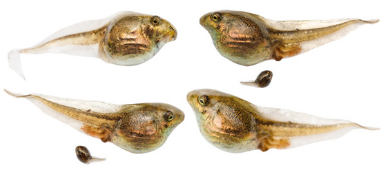 Similar image 8012497