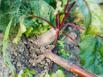 Similar image 8012511