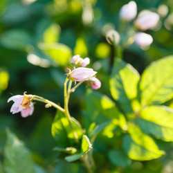 Similar image 8012513