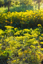 Similar image 8012514