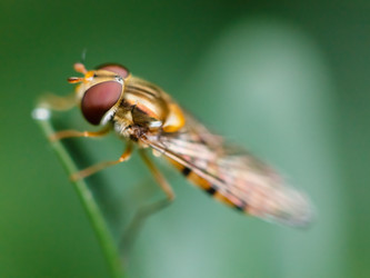 Similar image 8012518