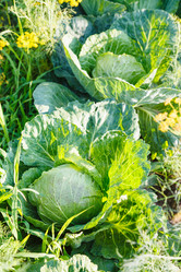 Similar image 8012521