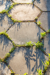 Similar image 8012522