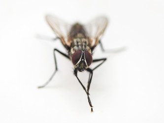 Similar image 8012525