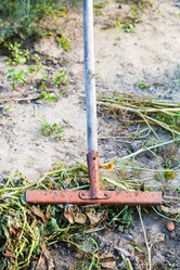 Similar image 8012530