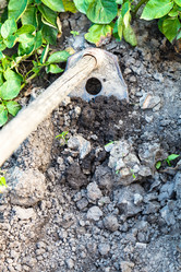 Similar image 8012533