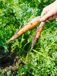 Similar image 8012534