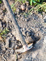 Similar image 8012541