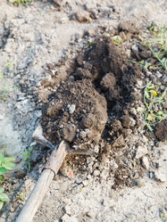 Similar image 8012543