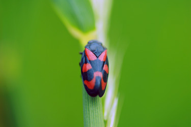 Similar image 8013000