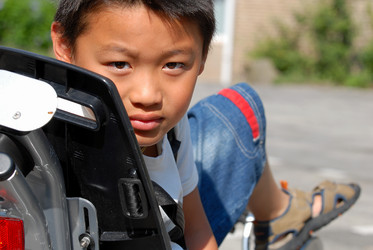 Similar image 8013005