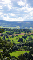 Similar image 8013006