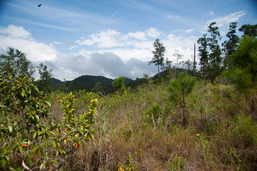 Similar image 8013013