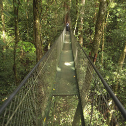 Similar image 8013034