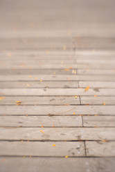 Similar image 8013035