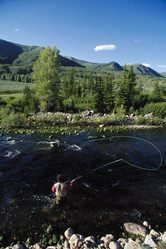 Similar image 8013036