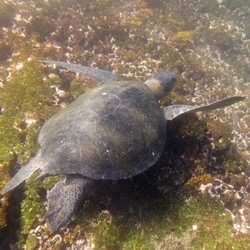 Similar image 8013038