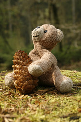 Similar image 8013041