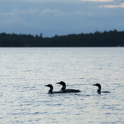 Similar image 8013047