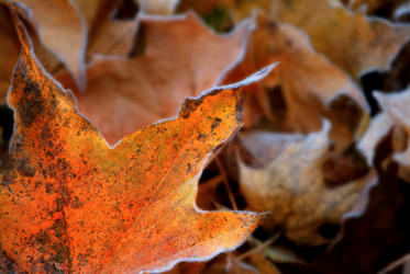 Similar image 8013049