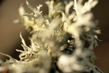 Similar image 8013051