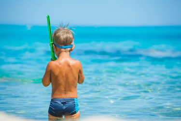 Similar image 8013062