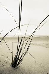 Similar image 8013069