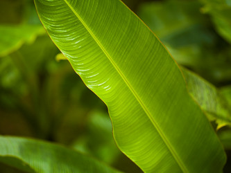 Similar image 8013074