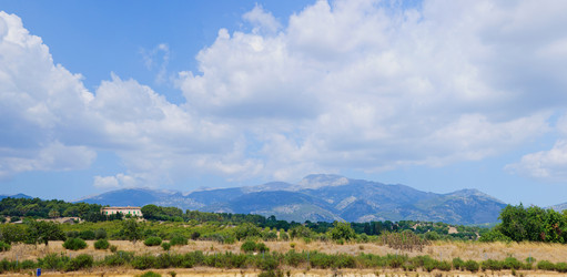 Similar image 8013082