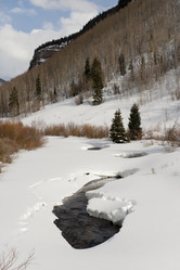 Similar image 8013086