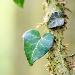 Similar image 8013113